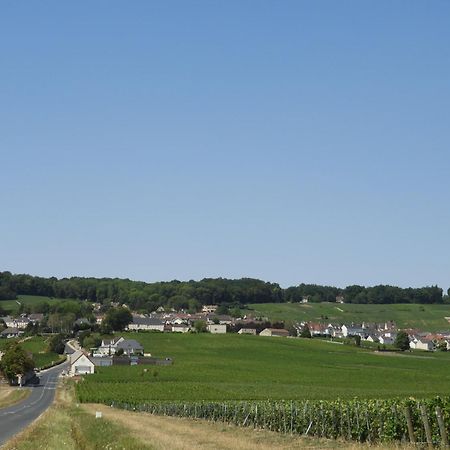 Ferienwohnung Les Galipes Hautvillers Exterior foto